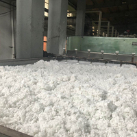Fibre de polyester HCS 7D * 64MM à bas prix pour le remplissage