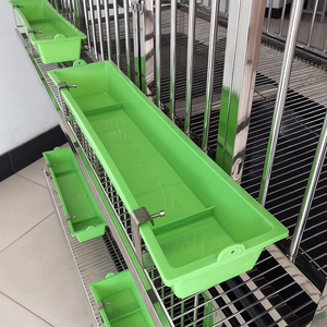Cages commerciales de conception moderne pour poulets de chair à vendre, cages à poulets de chair avec alimentation automatique pour volailles - Product Image 4