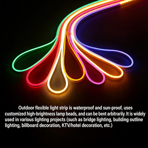 Guirnaldas de Luces LED de 12/24 V, Impermeables, de Silicona, Luz Suave, para Señalización/Publicidad Exterior, Control Táctil, Alto CRI 90, Fácil Instalación - Product Image 2