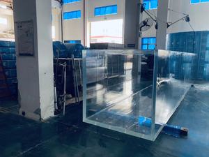 Peixes de Aquário à Venda - Product Image 5