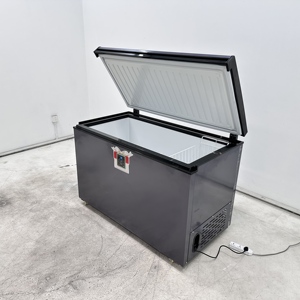 Congelatore a pozzetto da 260L con design compatto per esposizione di prodotti surgelati in piccoli negozi e boutique - Product Image 3