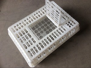 Caisses à poulets orange portables neuves et bon marché pour le transport <span class=keywords><strong>de</strong></span> volailles <span class=keywords><strong>vivantes</strong></span>, utilisation en abattoir, capacité <span class=keywords><strong>de</strong></span> 10 à 15 poulets - Product Image 3