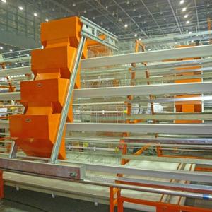 Katmanlar tavuk çiftlikleri için sıcak satış otomatik tavuk kafesi - Product Image 2