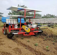 Vente flash : transplanteur de semis de chou, concombre, oignon vert, piment, chou-fleur, brocoli, pastèque