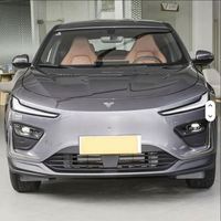 Voiture SUV NETA X d'occasion