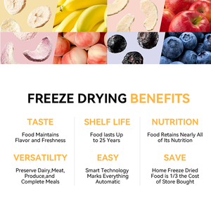 Meilleure vente de lyophilisateur de laboratoire de haute qualité SUS316L organique lyophilisé fruits nouvelle usine de fabrication - Product Image 2