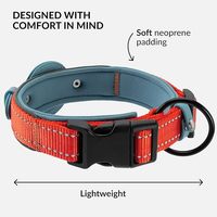 Collier GPS pour chat et chien en cuir de haute qualité 2026 avec Airtag intégré – Idéal pour l'entraînement des animaux de compagnie