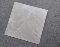Carrelage de salle de bain moderne 60x60cm gris foncé à effet ciment, porcelaine mate antidérapante pour sol et mur