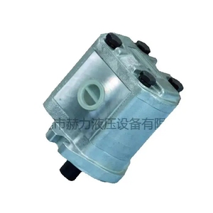 Pompe à engrenages haute pression WINMOST EG-PB-14 EG-PB-16 EG-PB-17 EG-PB-19 EG-PB-23 Nouvelle Originale - Product Image 2