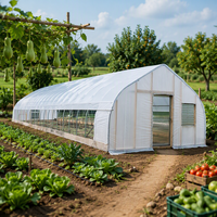 Serre tunnel agricole préfabriquée à arche unique avec structure en tuyaux galvanisés à chaud