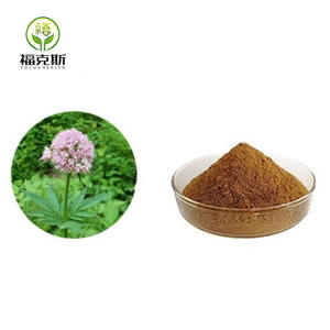 Extrato de Valeriana Officinalis em Pó Focus Bulk 0,8% Ácido Valérico Extrato de Raiz de Valeriana - Product Image 1