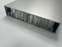 Panneau en nid d'abeille en aluminium ignifuge et résistant à l'eau, design moderne, surface revêtue de PVDF, mur-rideau haut de gamme, plafond sur mesure