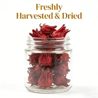 Thé d'hibiscus et fleurs de roselle séchées en gros pour la beauté