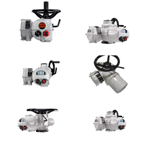 ตัวควบคุมแบรนด์เยอรมัน IQT3 Range Actuator - Product Image 4