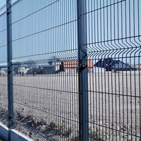 Aangepaste Hoge Kwaliteit Outdoor Tuin 3d Metalen Gebogen Gelaste Gaas Hek Voor Hek Paneel Pvc Hek