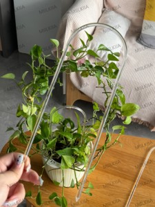 شبكة شفافة على شكل حرف U لدعم النباتات شبكة نباتات من الأكريليك الشفاف للنباتات المتسلقة - Product Image 5