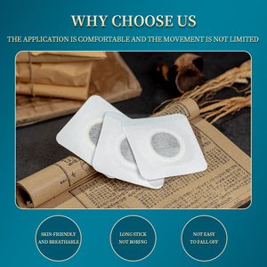 चीनी हर्बल दवा का थोक जला स्लिमिंग पैच पैच - Product Image 3