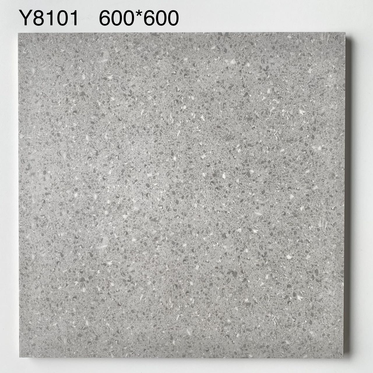 Y8101