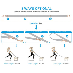 <span class=keywords><strong>Collar</strong></span> y Correa Ajustables para Perros de Alta Calidad, con Tacto Suave de Nailon y Hebilla Dorada Rosa - Product Image 5