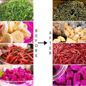 Secador de frutas, Máquina secadora de pescado, máquina seca de pescado, secador de alimentos, secador de correa de aire caliente multicapa - Product Image 6