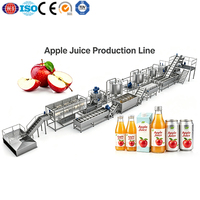 Complete automatische productielijn voor appelsap van roestvrij staal voor fruitverwerkingsbedrijven
