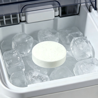 Tablettes de détergent écologiques jetables pour nettoyeur de machine à glaçons, usage en cuisine, élimination rapide du tartre, blocs solides à dissolution rapide