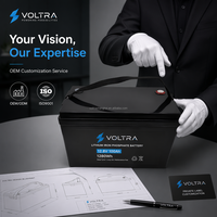 Batterie LiFePO4 VOLTRA 12,8V 100Ah 1280Wh avec boîtier ABS, sangle, design portable, système de stockage solaire domestique hors réseau, 6000 cycles