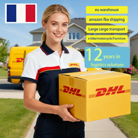 Transitaire aérien Agent maritime Chine Logistique express de marchandises dangereuses avec assistance 24h/24 et 7j/7 Assurance Service de livraison en France