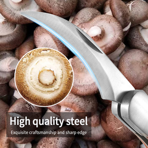 Manche en bois professionnel en acier inoxydable <span class=keywords><strong>camping</strong></span> coupe champignon truffe champignon couteau avec brosse - Product Image 5