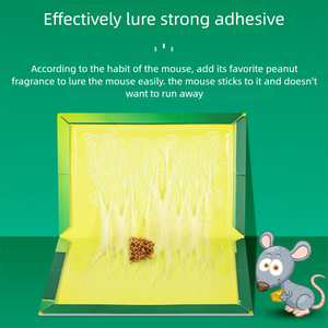 Trampa de Pegamento para Ratones y Ratas de Fácil Uso, Fuerte y Adhesiva, con Cartón Sólido para el Control de Pequeños Plagas en Interiores del Hogar, Como Ratones y Cucarachas - Product Image 6