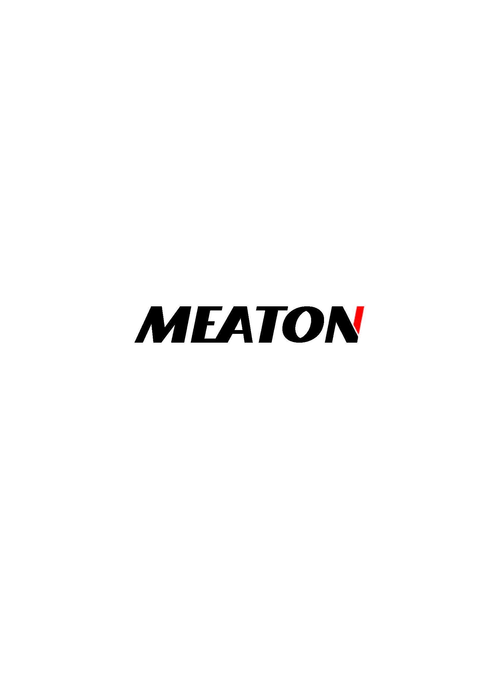 Shanghai Meaton Trade Co., Ltd. logo