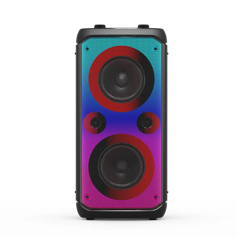TWS Double 4 inch Portable RGB Flame light Extra Bass Bluetooth Party speaker with FM TF Recorder Karaoke lINE IN EQ ECHO