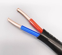 Cable de Alimentación con Aislamiento XLPE de Doble Núcleo de Cobre YJV-2*25mm² con Revestimiento de PVC