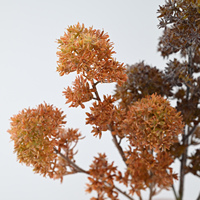Fleur artificielle de vanille en soie faite à la main, écologique, 75 cm, pour mariage, Noël, fête des mères, décoration éternelle