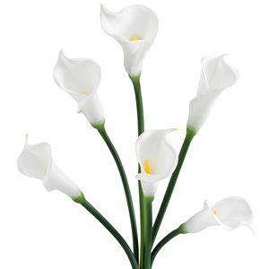 Longue tige de fleur artificielle Calla Lily avec toucher EVA pour la décoration de la maison, de la table à manger, des mariages, des auditoriums et comme accessoire photo - Product Image 1
