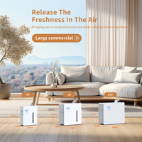 Dispositif d'arôme de bâtiment commercial B2B Machine de diffuseur d'huile essentielle sans eau à technologie d'air froid électrique en acier