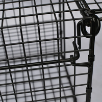 Trampa de jaula para control de roedores para ratas humanas al aire libre, trampa para Animales vivos de alta resistencia para ardillas, conejos