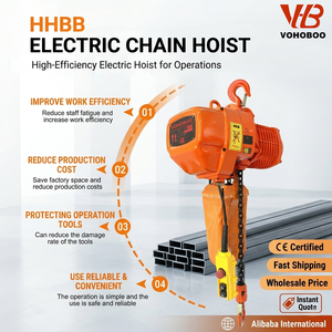 Polipasto Eléctrico de Cadena Tipo Carro con Gancho para Construcción, Certificado CE, Monorriel, 500 kg, 1 Tonelada, 2 Toneladas, 220V, 380V, 50/60Hz - Product Image 5