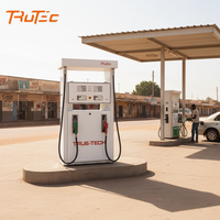Dispensador de Combustible Multifuel de Dos Mangueras a Precio Competitivo, Modo de Bomba de Succión, Tablero de Precios Digital para Gasolineras Locales