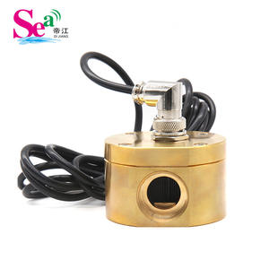 Débitmètre à engrenages elliptiques en cuivre, capteur d'huile liquide à effet Hall pour stations-service (6 minutes) - Product Image 1