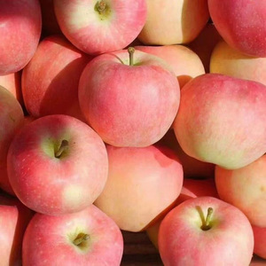 Shaanxi Gala <strong>Apple</strong> Fresh Fruit <strong>Candy</strong> Heart <strong>Red</strong> Fuji Sweet Taste Whole Box Wholesale with Postage Included - Product Image 3
