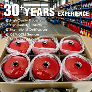 Estintore Portatile di Alta Qualità in Acciaio Inox SUS304 SS316L Certificato CE, Stile Italiano, Prezzo di Fabbrica, Vendita all'Ingrosso - Product Image 3