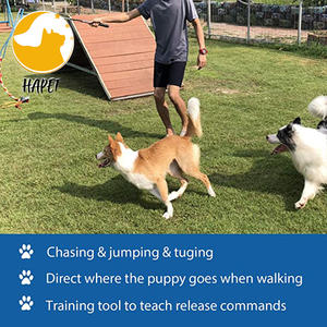 Perro coquetear polo con cuerda de algodón perro Teaser varita coquetear Polo perro - Product Image 3