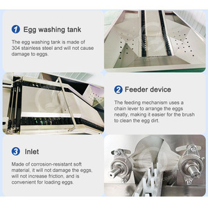 OCEAN-Cepillo eléctrico para huevos, máquina limpiadora de cáscara de huevo, línea de limpieza de huevos de pollo industrial - Product Image 5