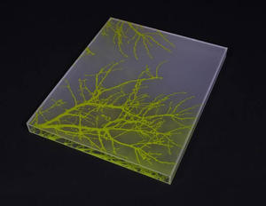 <span class=keywords><strong>Plexiglas</strong></span> 5-Seitiger Buchumschlag Perspex Buchhülle Maßgefertigte Gravur Acryl Buchaufbewahrungsbox - Product Image 4