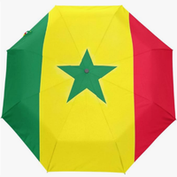 Parapluie entièrement automatique de haute qualité, imprimé du drapeau national de Sierra Leone, anti-UV à haute efficacité, style créatif
