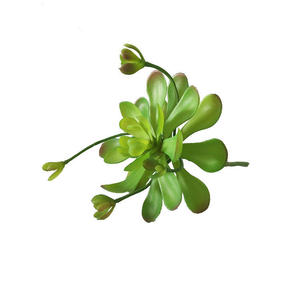 Planta <span class=keywords><strong>Suculenta</strong></span> Artificial de Alta Simulación, <span class=keywords><strong>Flor</strong></span> de Loto Artificial para Decoración de Paredes del Hogar, Planta Artificial Decorativa - Product Image 5