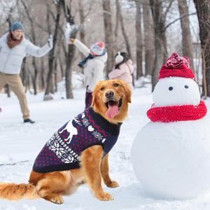 Chandail de Noël tricoté sur mesure par OEM pour chien moche Tenues pour animaux de compagnie Argyle Manteau de Noël par temps froid pour chats chiens - Product Image 6