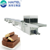 Machine d'enrobage de chocolat de collations de dates promotionnelles industrielles automatiques de SUS à vendre