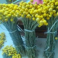 Vente en gros : Magnifiques boules dorées vintage pour la décoration intérieure, fleurs séchées naturelles pour mariage, remise de diplôme, Noël, fête des Mères
